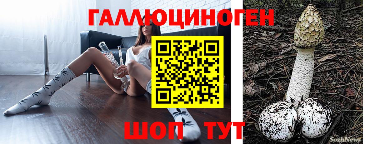 Прохладный  Псилоцибиновые грибы Psilocybine cubensis  Вход с VPN 